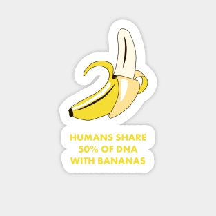 Humans Share 50% of DNA with Bananas! Funny Science Shirts & Gifts Sticker